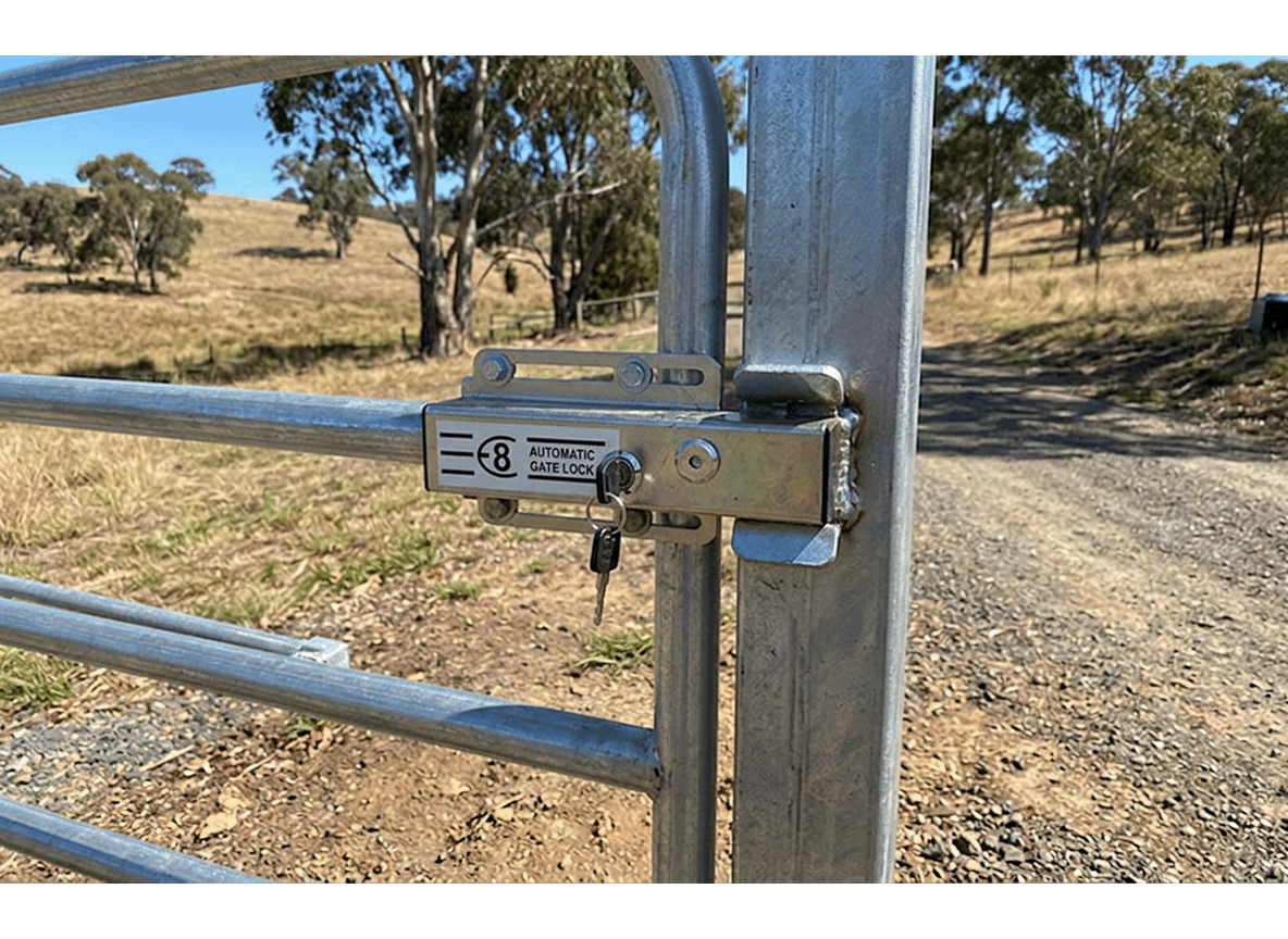 electric gate lock